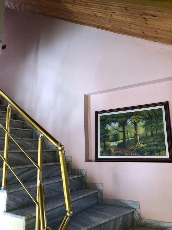 Vila Deni Tushemisht المظهر الخارجي الصورة